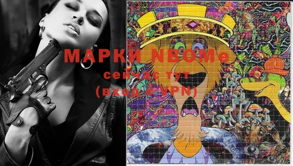 спиды Майский