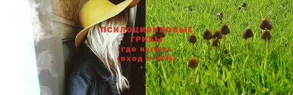 метадон Магадан